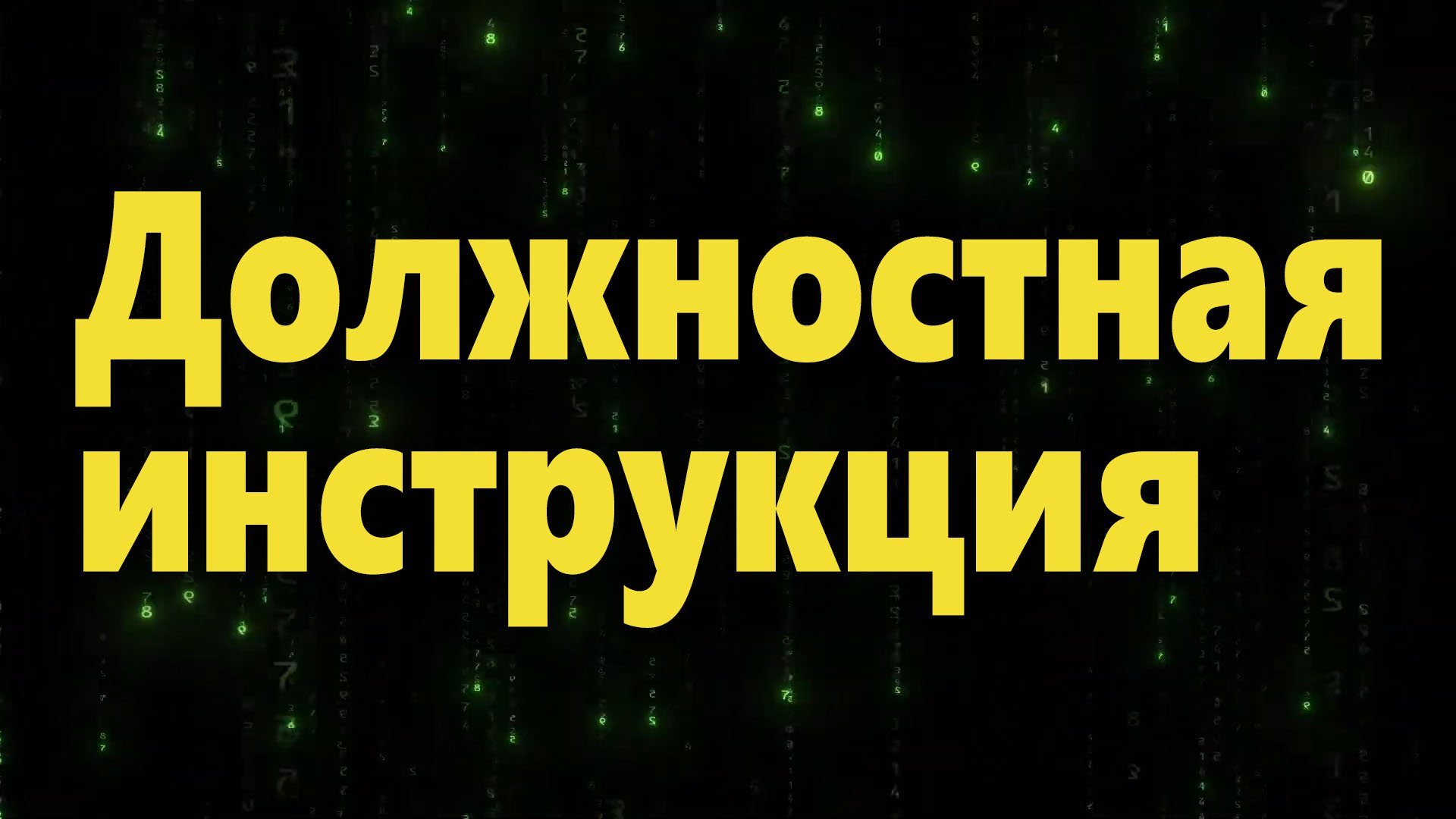 Должностная инструкция