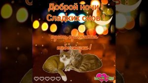 Доброй ночи! Сладких снов !