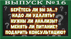 Разбор основных вопросов. Первичная консультация. Идти или нет? Анализы. Заключения. Смена питания.