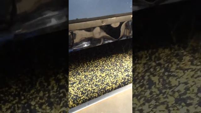 Дробилка для литников ZD 800 смотреть онлайн