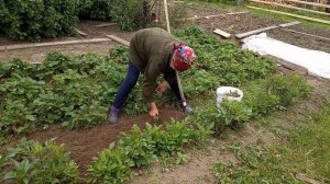 Июньские морозы в Коми. Будни Олега.