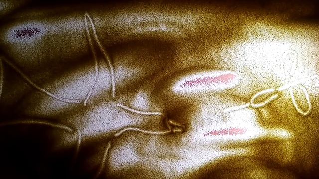 конкурсная работа "Моя малая Родина: природа, культура, этнос"