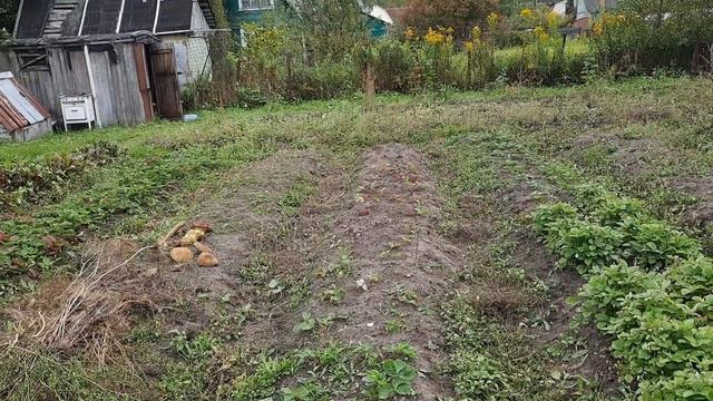 #влог #заброшеннаядача #купилидачу ЕДУ НА ДАЧУ ВЛОГ