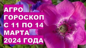 Агрогороскоп с 11 по 14 марта 2024 года Agrohoroscope from March 11 to March 14, 2024