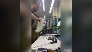 Обслуживание Вилки Honda NC750X