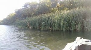 ПЕРВАЯ осенняя РЫБАЛКА!!! ЛОВЛЯ хищника на БЛЕСНА, ВОБЛЕРА И ДЖИГ!!! РЫБАЛКА с ЛОДКИ!!!