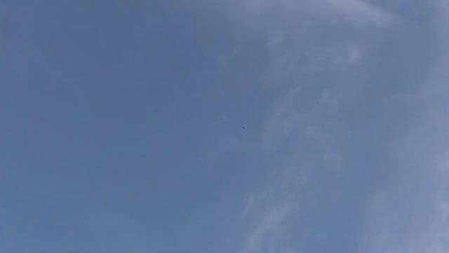 Лучшие голуби летают в любую погоду ,в любом состоянии. Обработка голубятни. смотреть онлайн