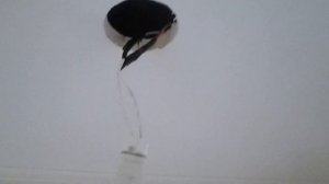 Покраска потолка латексной  краской + установка  люстры  и светильников в прихожей