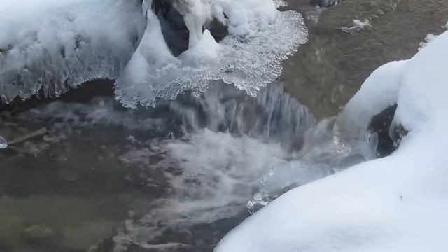 как не взболтнуть лишнее психологу