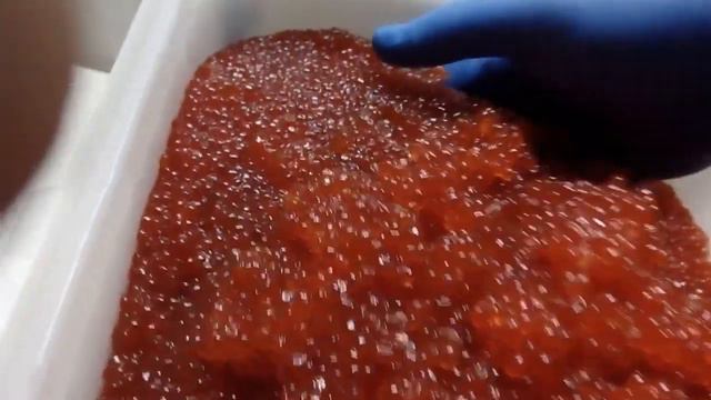 Икра Красная в Томске и Северске! ИКРА КИЖУЧА! КАМЧАТКА! СТЕЙКИ,ФИЛЕ, СЁМГИ с/м. IKRA70.RU смотреть онлайн