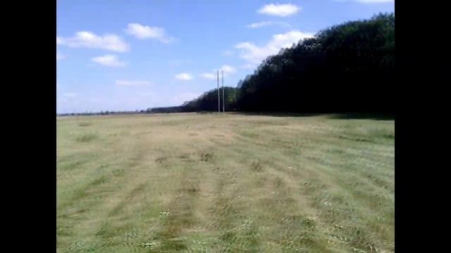 Сенокос на брошенных огородах смотреть онлайн