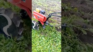 Осенняя вспашка мотоблоком Ока 21.10.2018