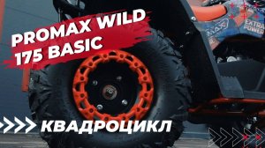 Обзор на квадроцикл PROMAX WILD 175 BASIC в MAXMOTO