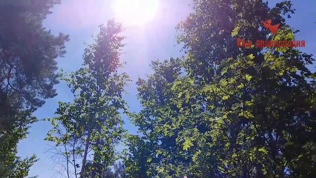 Мудрые Наставления старца Николая Гурьянова смотреть онлайн