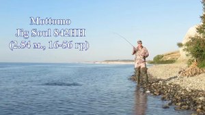 Mottomo Jig Soul и жерех