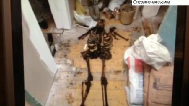 Под полом в барнаульской квартире нашли останки смотреть онлайн