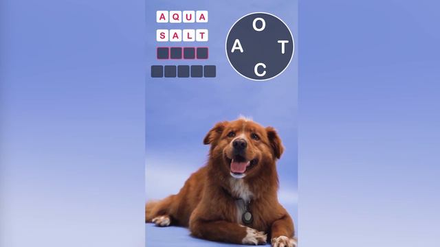 WRA NEW47 VI L смотреть онлайн