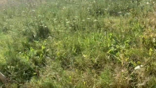 Сколько же стоят мёртвые души?🤦♀️ смотреть онлайн