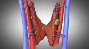 Можно ли курить мусульманам?