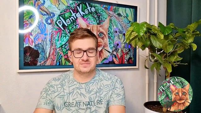 Лимонное дерево - часть 2, один месяц позади смотреть онлайн