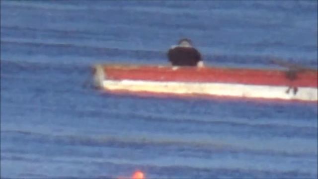 Рыбаки под КамГЭС, КРУПНЫЙ ЖЕРЕХ с лодки, охрана ГЭС. смотреть онлайн