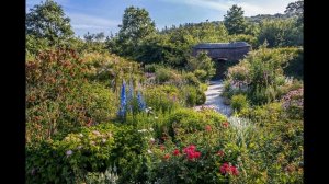 Роза Остина Rosemoor. Что в имени твоем?! Часть 58