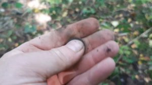 КОП С MINELAB EQUINOX 600 НА МУСОРЕ