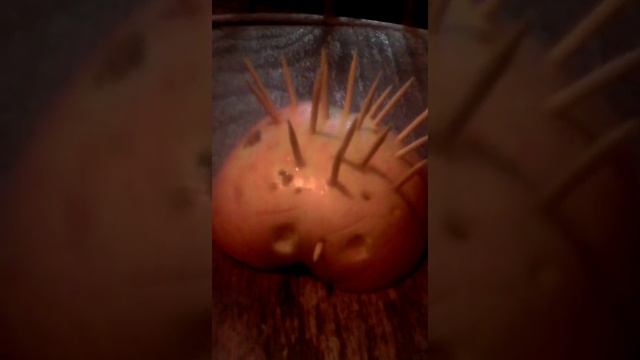 Как заделать ёжика смотреть онлайн