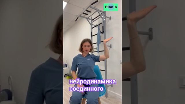 Нейродинамика срединного начальный вариант