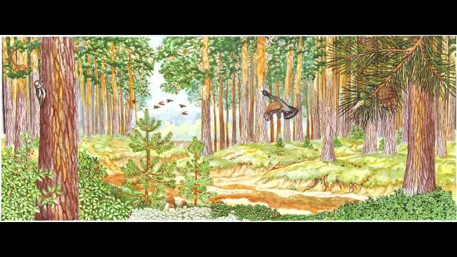 "Комарочек" (русская народная песня) - летние песни в вальдорфской школе смотреть онлайн