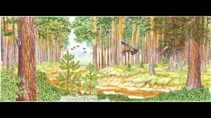 "Комарочек" (русская народная песня) - летние песни  в вальдорфской школе