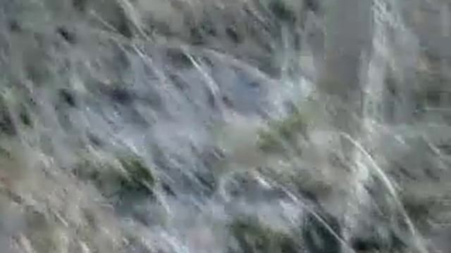 Брыня подход к кабанам. смотреть онлайн