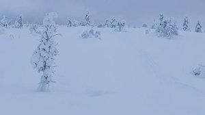 Мотосноуборд Sibmaster Pro - гора Волостная, Кандалакша, ДубльДом