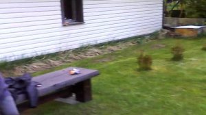 квадрокоптер