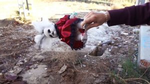 КАНАЛ АЛОЯ ВЕРА БУДЕТ УДАЛЕН ЧЕРЕЗ 24 ЧАСА МИСТИЧЕСКИЙ КВЕСТ