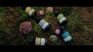 «Клинтестин» – уникальная природная композиция для очищения организма