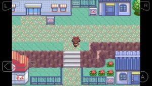 How to remove HM moves from pokemon in pokemon ruby/sapphire/emerald