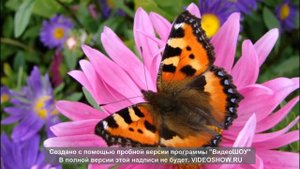 Кружок "Занимательная грамматика"