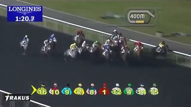 Dubai World Cup Carnival 2014 Week #6 - Picks & Best Bet смотреть онлайн