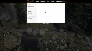 Как поиграть с другом в RDR2?