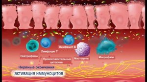 Синдром подразненого кишківника. Метеоспазміл