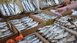 Как правильно выбрать воблу
