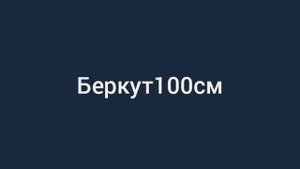 БЕЛОГОЛОВЫЙ ОРЁЛ VS БЕРКУТ