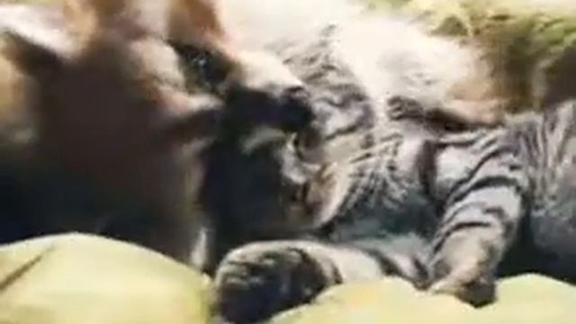 Крепких объятий в дождливый денёк! смотреть онлайн