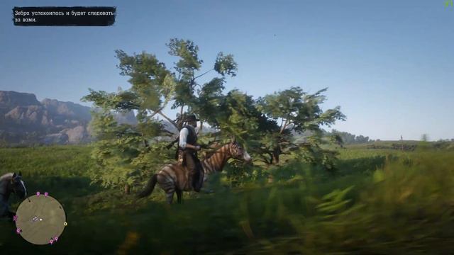 Red Dead Redemption 2. Чокнутый зоопарк. Часть 31. смотреть онлайн