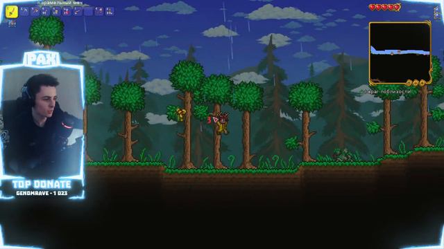 СТРИМ►TERRARIA►ПРОХОЖДЕНИЕ С НУЛЯ :(