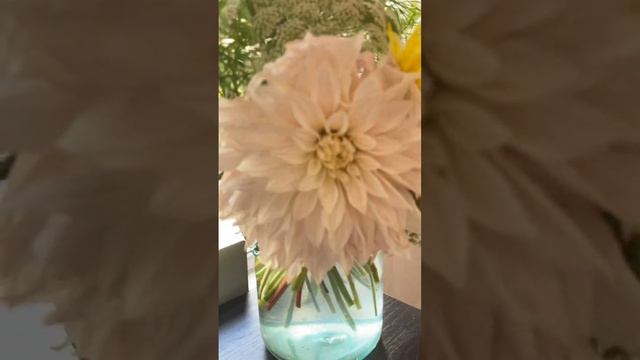 Dahlias After 5 Days In The Vase | Update On Dahlias In A Flower Arrangement | Growing Cut Flowers