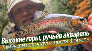 Дикая радужная форель. УХА ИЗ ФОРЕЛИ! ГОРЯЧЕЕ КОПЧЕНИЕ в походных условиях.