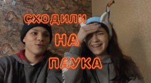 ?СХОДИЛИ НА ПАУКА?