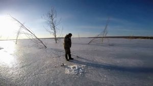 БЕЗУМНЫЙ КЛЕВ ПРОДОЛЖАЕТСЯ!!! Весенняя ловля крупного окуня в Болтурино